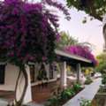 Nature Retreat In India | Escape, Unwind & Reconnect