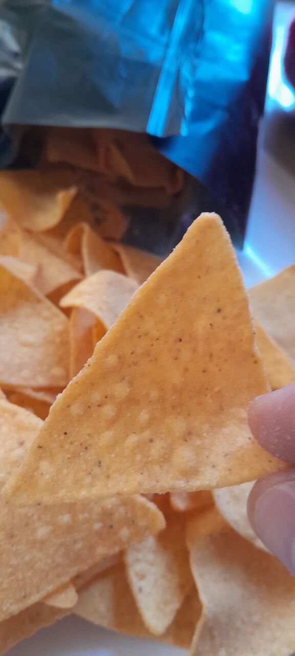Dubai, Businesses For Sale, Fully Automatic Tortilla Chips Line &ndash; 100 KG/H With PLC Control