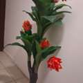 SAR 50,  Floor Vase - Selling At Half Price