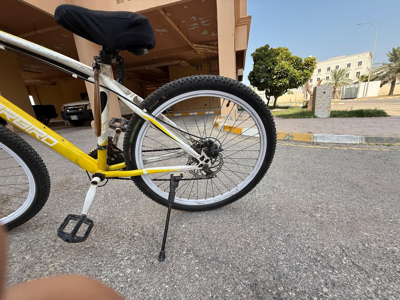Jubail, Bicycles, SAR 300,  26" Thunderbird Bicycle With New Tires And New Seat With New Seat Cover