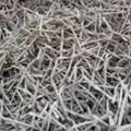 SAR 1,  TITANIUM AVAILABLE IN BULK QUANTITY