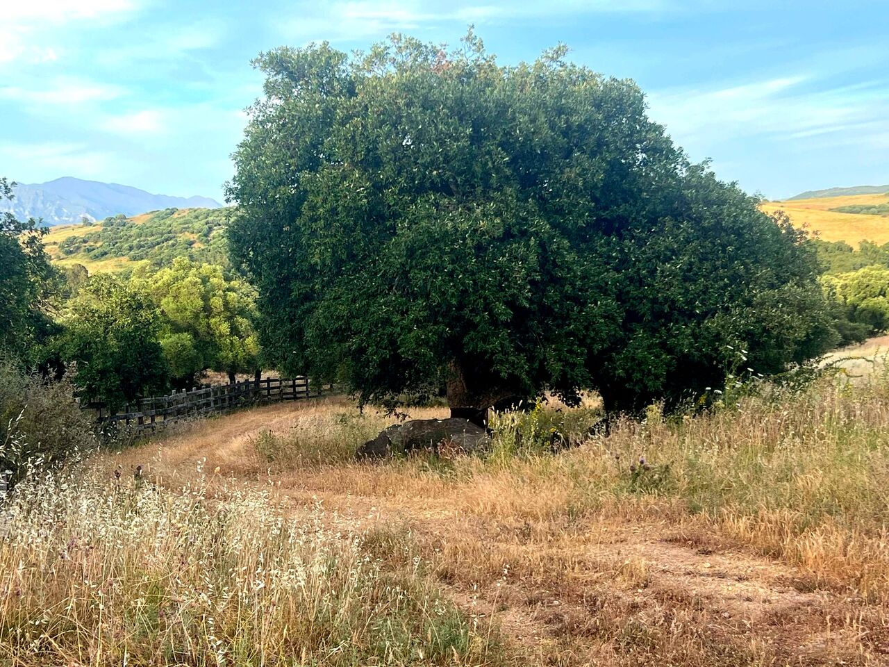 Barcelona, Real Estate For Sale, EUR 25000000,  6 BR,  850 Sq. Meter,  Luxury Equestrian Estate For Sale Near Sotogrande | C&aacute;diz, Andalusia