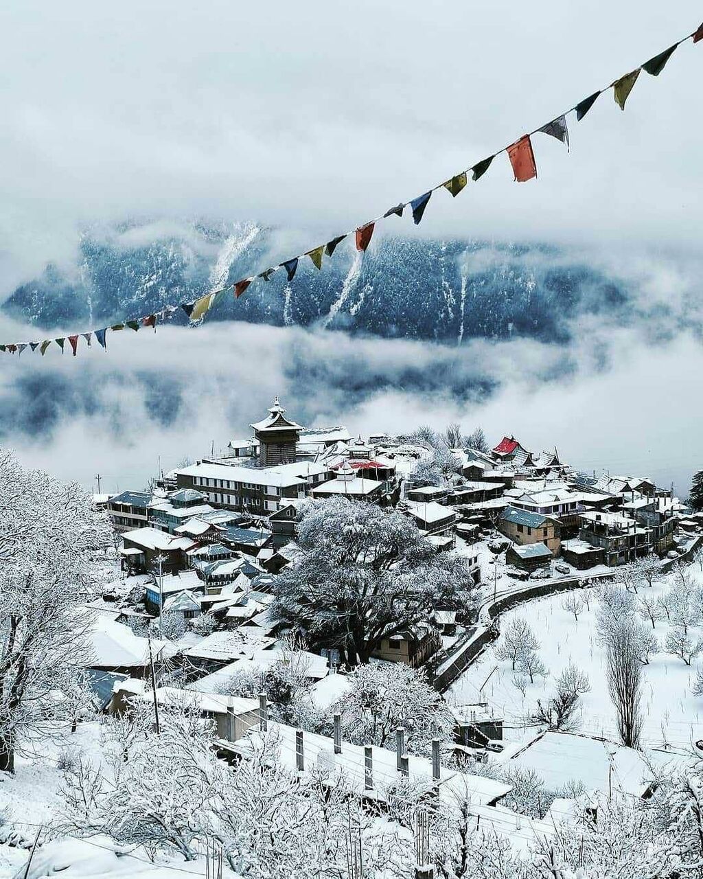 Rohini, Travel, Custom Himalayan Expidition Family Tour Operators In Delhi