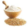 INR 40,  Wheat Flour Suppliers In Maharashtra