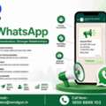 Boost Business Reach With Bulk WhatsApp Marketing