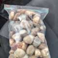 We Would Like To Sell  Pebble Stone Size Dia40mmx50mm (Qty 125 Ton)