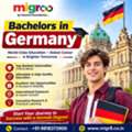 Bachelors In Germany