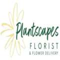 Plantscapes Florist & Flower Delivery
