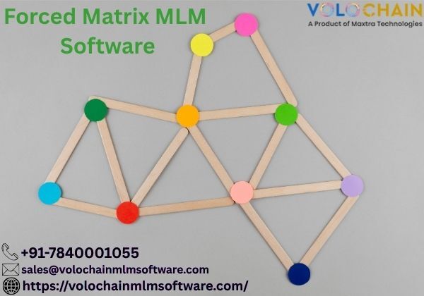 Noida, Software Development, Grow Your Network With Advanced Forced Matrix MLM Software &ndash; Volochain