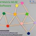 Grow Your Network With Advanced Forced Matrix MLM Software &ndash; Volochain