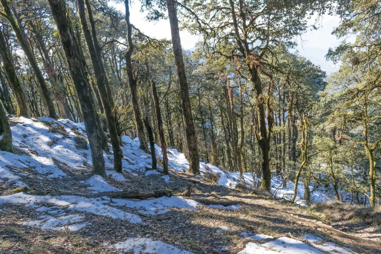 Mumbai, Travel, Nag Tibba Trek &ndash; Weekend Trek In Uttarakhand