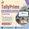 Best Tally Prime Course Online &ndash; Learn Accounting & GST