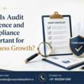 Why Is Audit Diligence And Compliance Important For Business Growth?