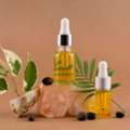 Premium Bulk Rosemary Oil For Your Business