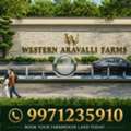 INR 21000000,  9000 Sq. Feet,  Farmhouse Land In Shahpura For A Peaceful Retreat