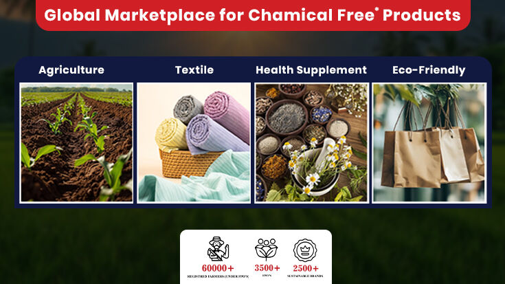Ahmedabad, Business, Chemical Free & Organic Products Online