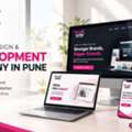 Professional Website Design & Development Company In Pune