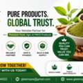 Best Tulsi Powder Exporter In India &ndash; Glee Impex