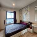 THB 7000,  24 Sq. Meter,  Dfa0461 ให้เช่า Plum Condo Central Station เฟส 1  ใกล้ Central Westgate  อยากได้ฟีล