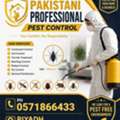 ♤PROFESSIONAL ALL TYPES PEST💙CONTORL SOLUTION With GUARANTEED💙BEST PRICE{0571-866433}