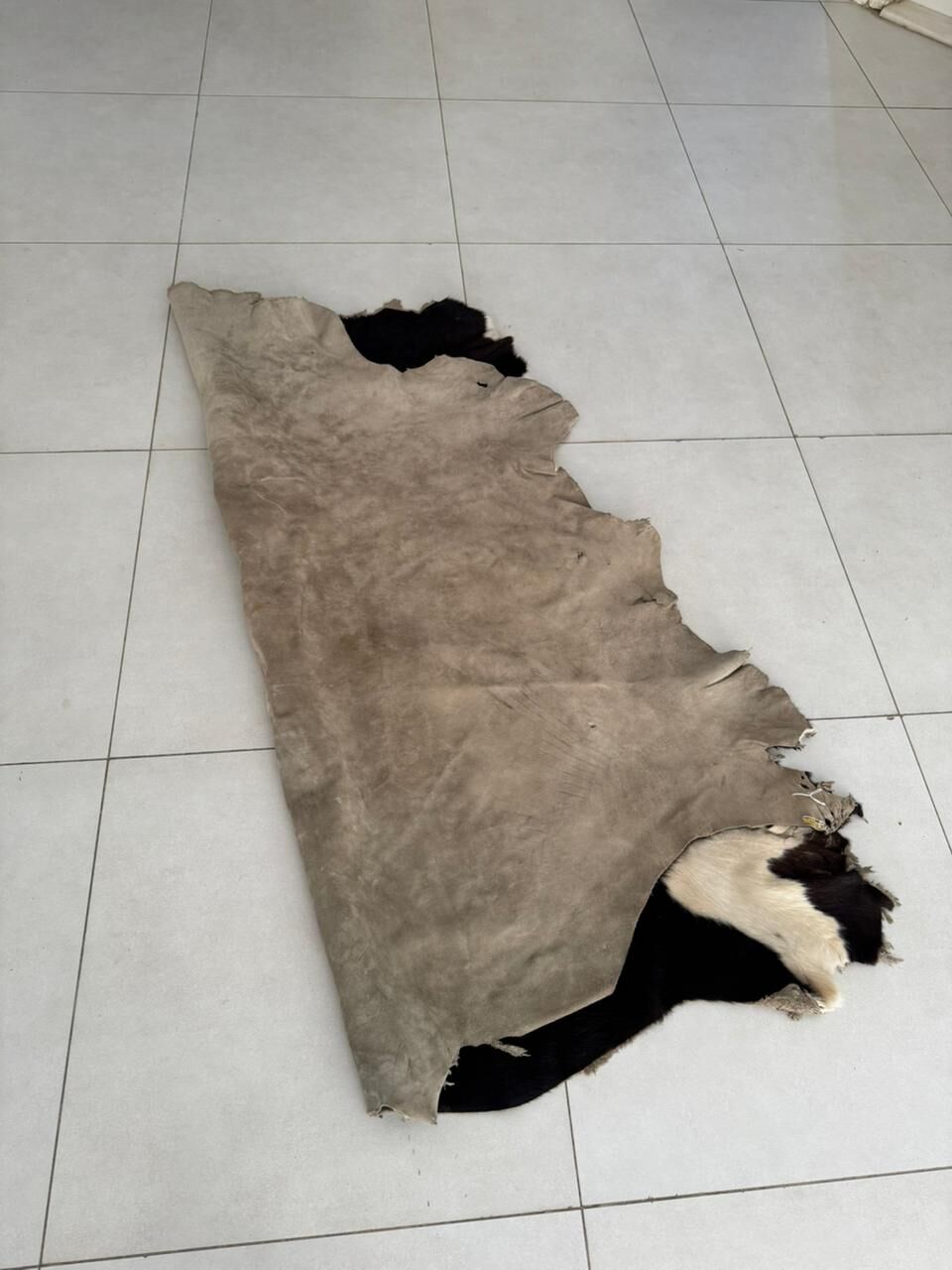 Riyadh, Household Items, SAR 700,  Goats Skin