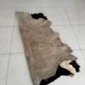 SAR 700,  Goats Skin