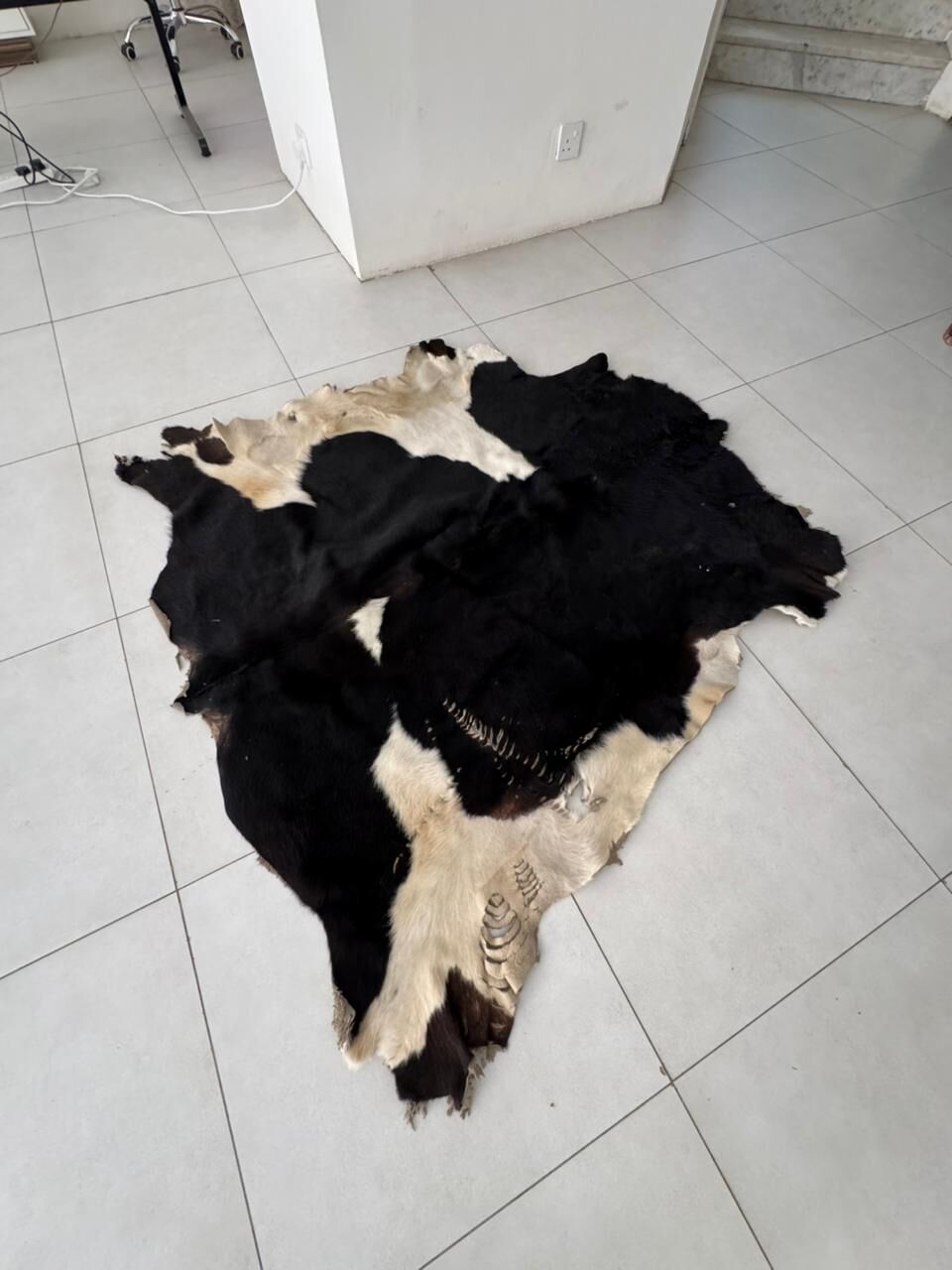 Riyadh, Household Items, SAR 700,  Goats Skin
