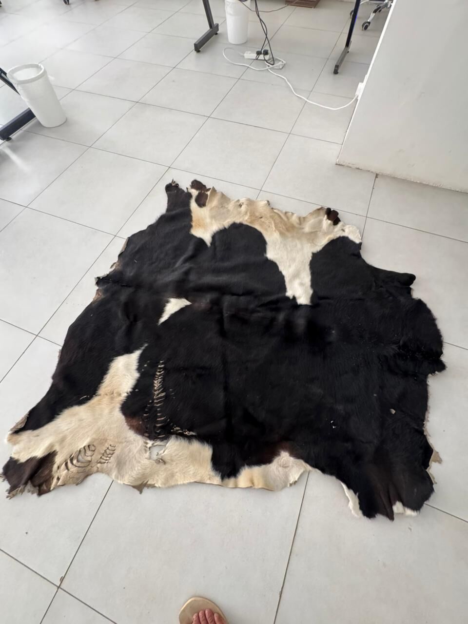 Riyadh, Household Items, SAR 700,  Goats Skin