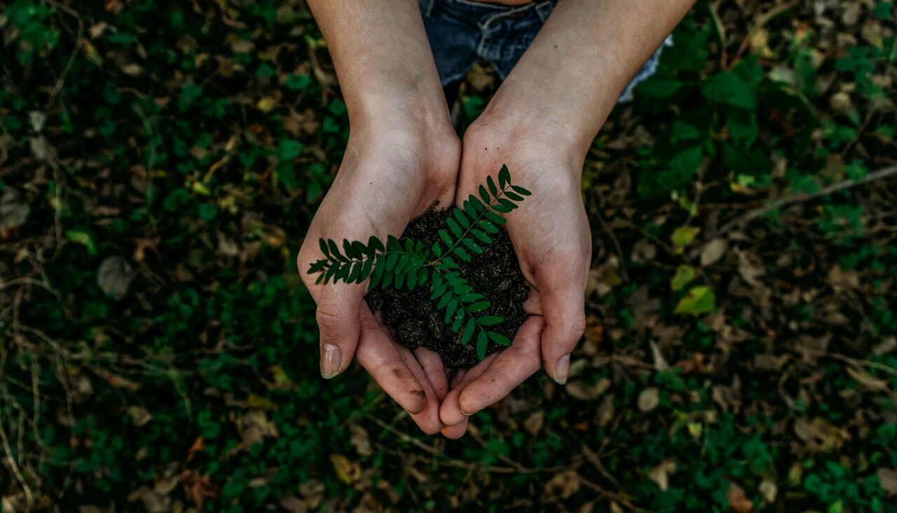 Lisbon, Health, Apply For Ibogaine Treatment &ndash; Confidential Treatment Application