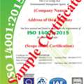 Achieve ISO 14001:2015 Certification With Exert Support