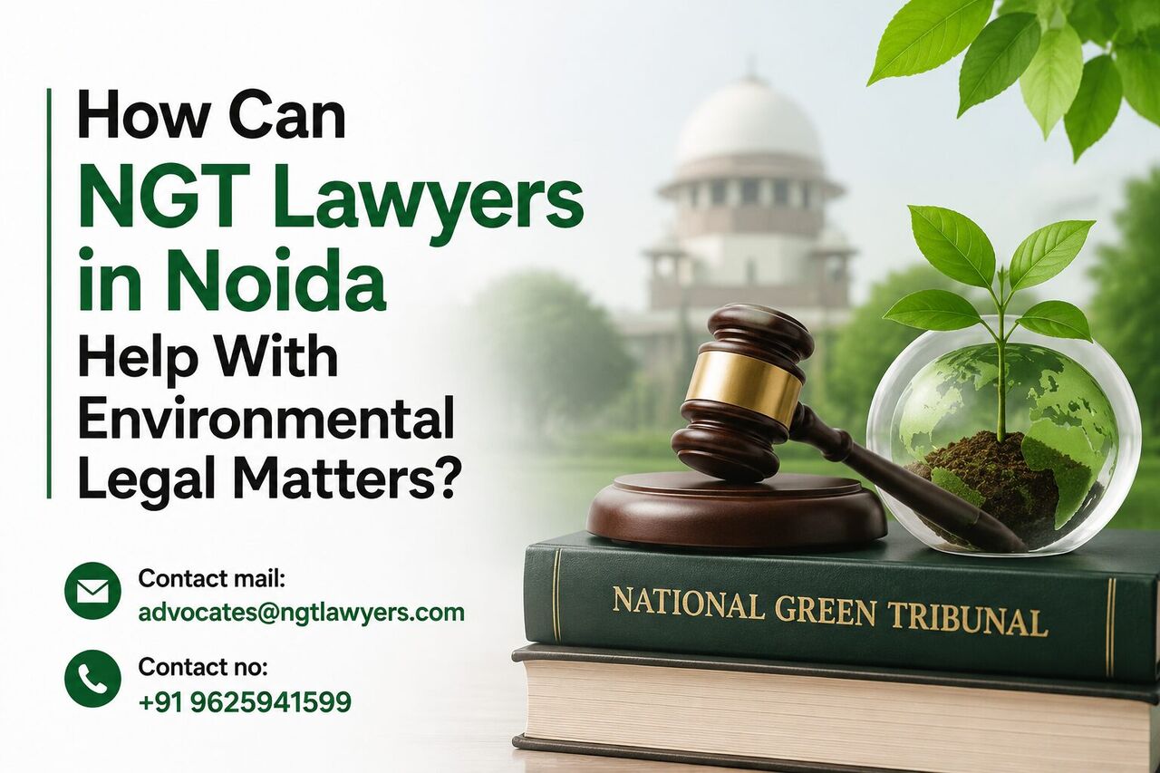 Ghaziabad, Legal, How Can NGT Lawyers In Noida Help With Environmental Legal Matters?