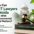 How Can NGT Lawyers In Noida Help With Environmental Legal Matters?