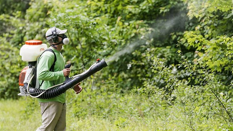 Calgary, Pest Control, Safe Residential Pest Control In Calgary For Your Home