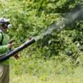 Safe Residential Pest Control In Calgary For Your Home