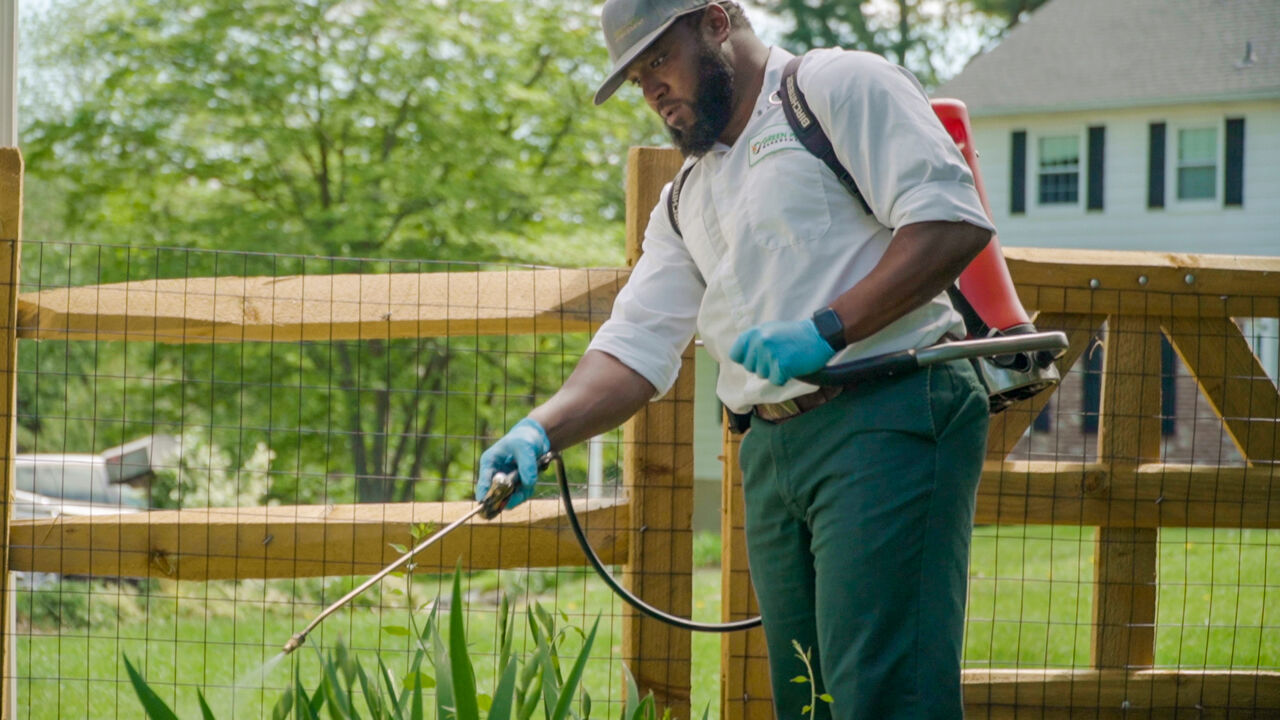 Calgary, Pest Control, Safe Residential Pest Control In Calgary For Your Home