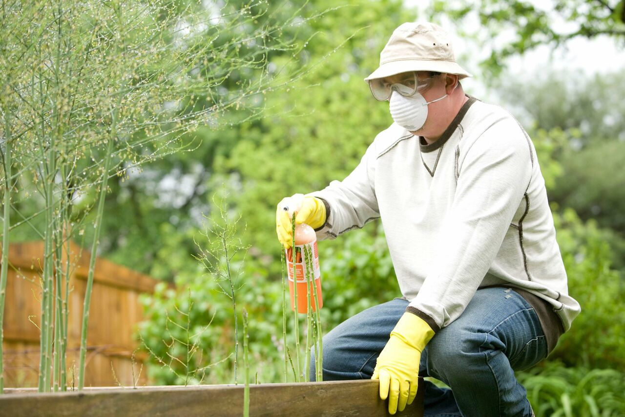 Calgary, Pest Control, Safe Residential Pest Control In Calgary For Your Home