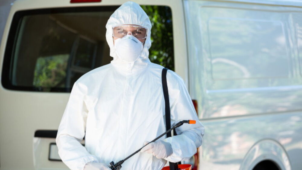 Calgary, Pest Control, Safe Residential Pest Control In Calgary For Your Home