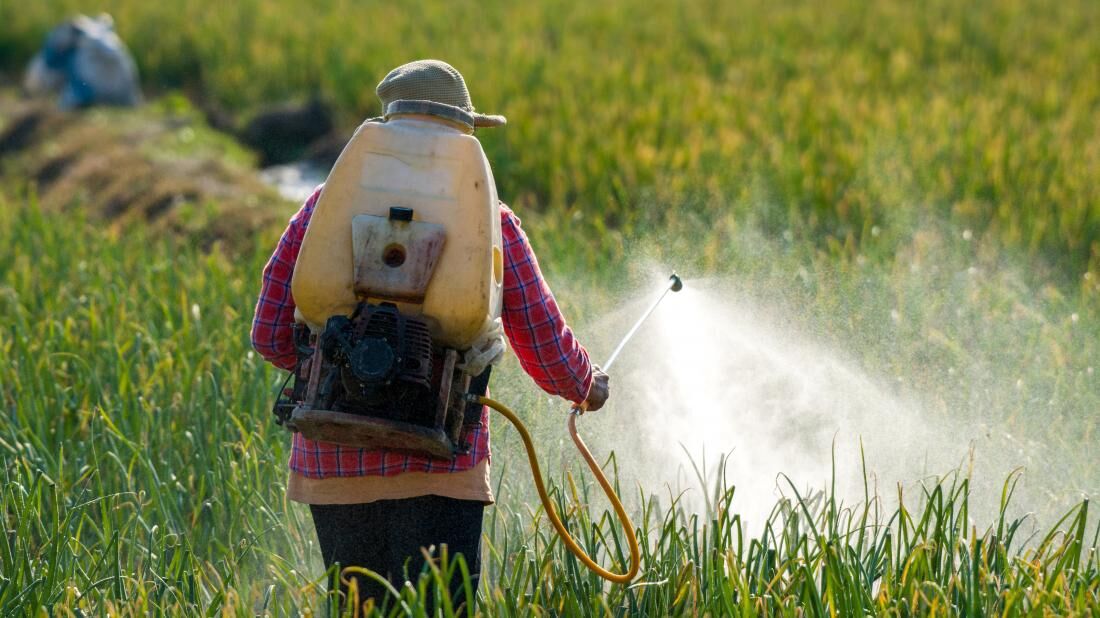 Calgary, Pest Control, Safe Residential Pest Control In Calgary For Your Home