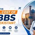 What Is The Total Cost Of MBBS In Uzbekistan?
