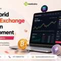 USD 4999, Top Hybrid Crypto Exchange Platform Development For Blockchain Projects