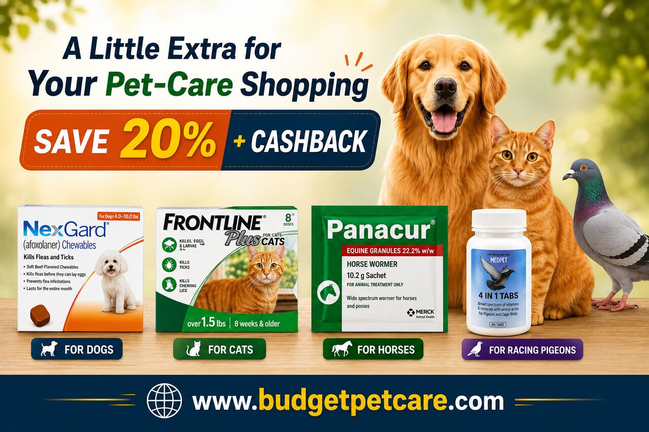 New York, Pet Supplies, A Little Extra For Your Pet-Care Shopping &ndash; Save 20% + Cashback