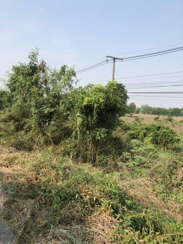 Bangkok, Real Estate For Sale, THB 1800000,  6 BR,  1340 Sq. Feet,  เน้นทรัพย์น่าซื้อน่าลงทุน ที่ทำเ