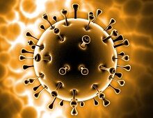 New York, Health, American Biotech News