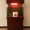 ZAR 250,  Aquarium For Sale