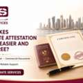 What Makes Certificate Attestation In Qatar Easier And Stress-Free?