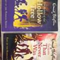 SAR 40,  Enid Blyton Books