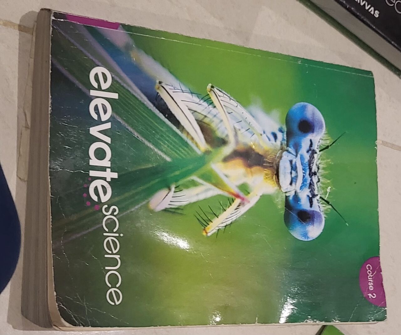 Riyadh, Books, SAR 100,  Envision Algebra Geometry Savvas  Vocab Grammar And Envison Science Books