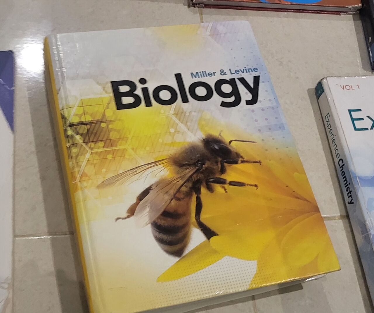 Riyadh, Books, SAR 100,  Envision Algebra Geometry Savvas  Vocab Grammar And Envison Science Books