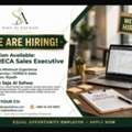 Sales Executive