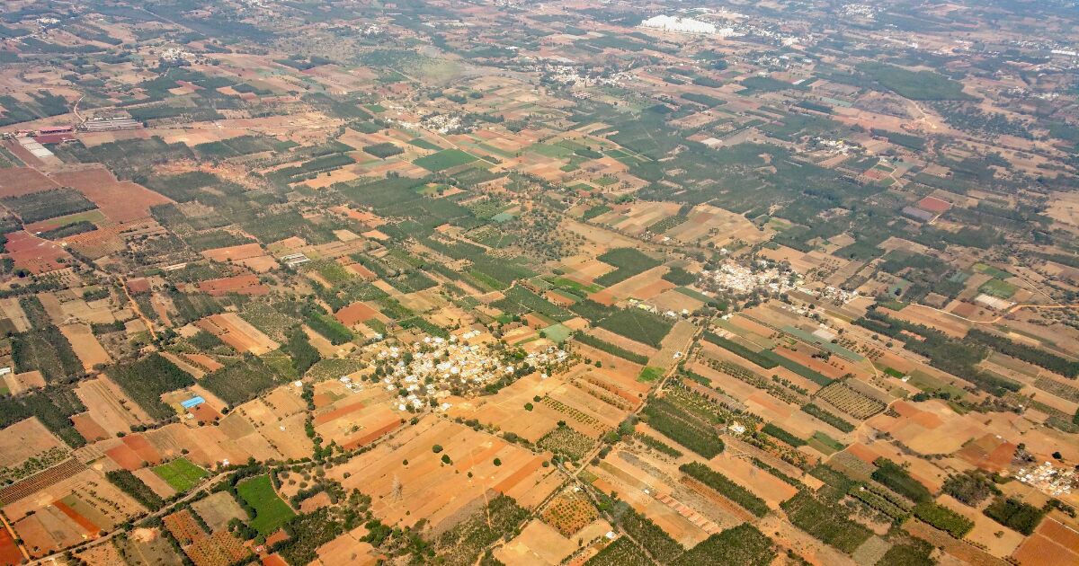 Mumbai, Residential Plots, Plots For Sale In A Gated Society &ndash; The Grand City, Sonipat